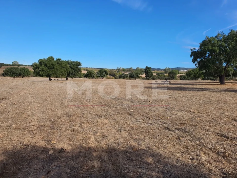 Quinta T0 para Venda em Alvito Foto 66