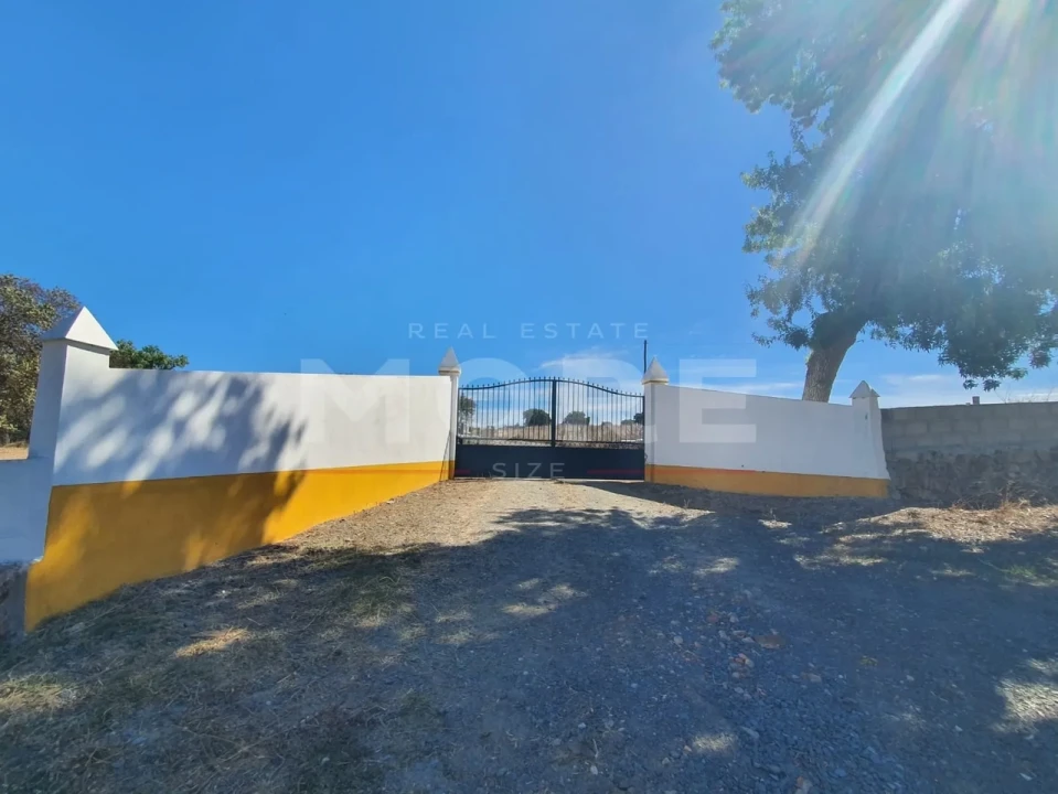 Quinta T0 para Venda em Alvito Foto 74