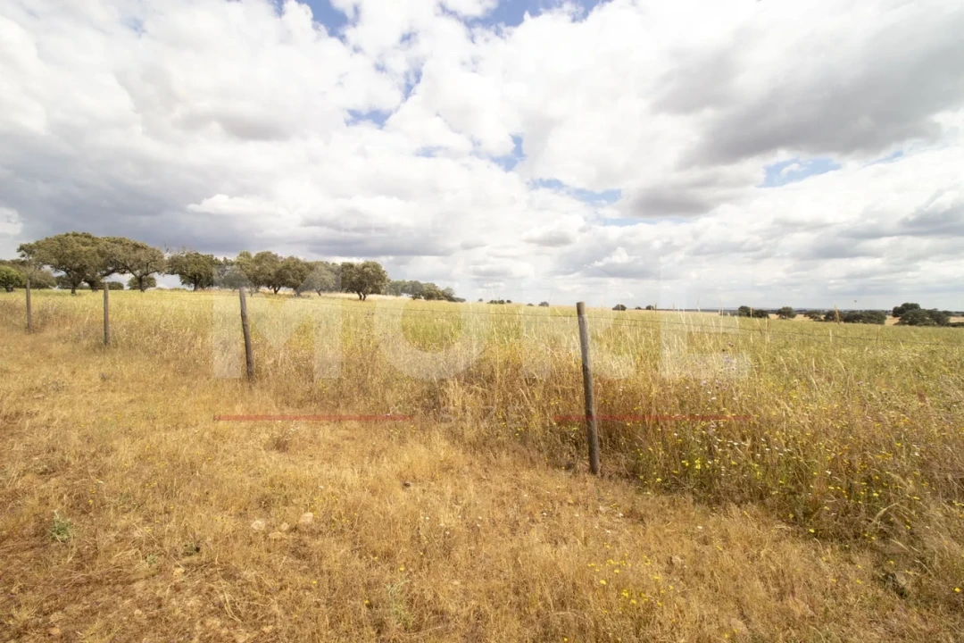 Quinta T0 para Venda em Alvito Foto 49