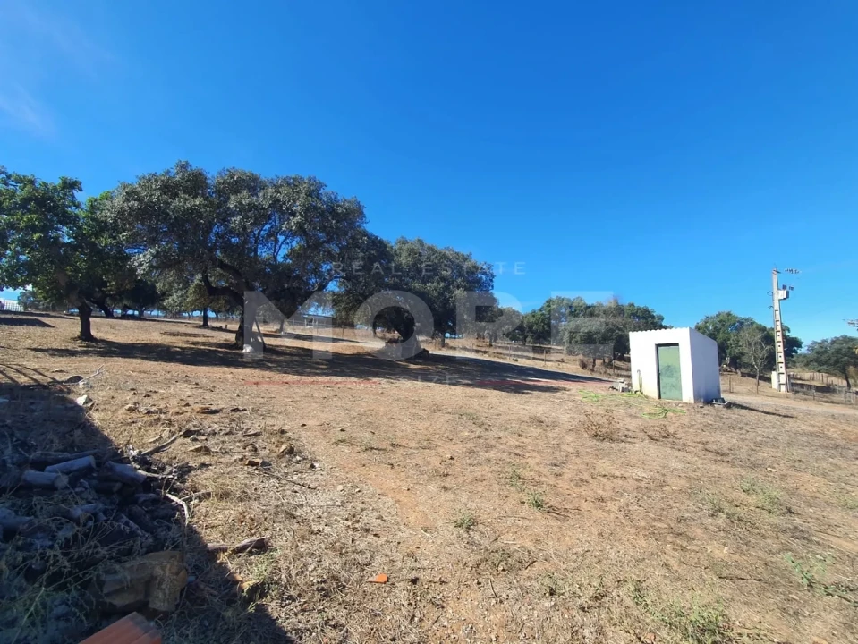 Quinta T0 para Venda em Alvito Foto 61