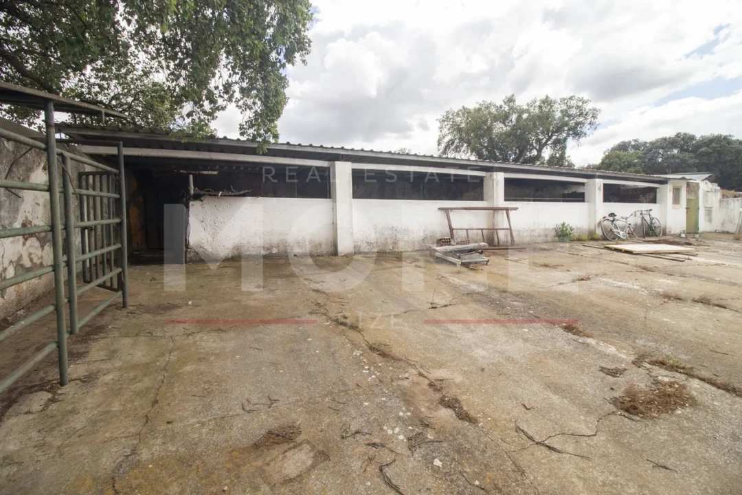 Quinta T0 para Venda em Alvito Foto 36