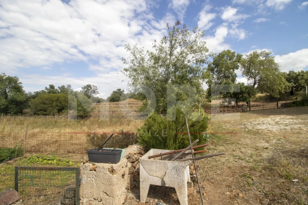 Quinta T0 para Venda em Alvito Foto 58