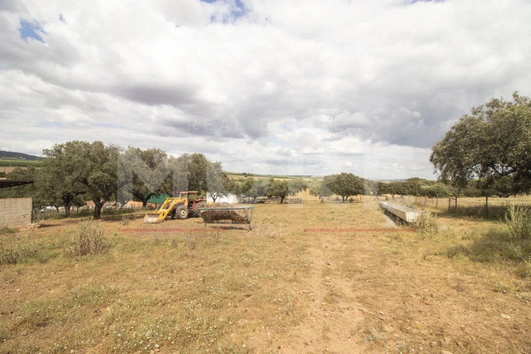 Quinta T0 para Venda em Alvito Foto 46