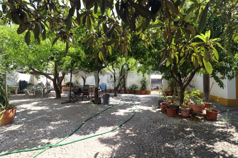 Moradia T0 para Venda em Évora (São Mamede, Sé, São Pedro e Santo Antão) Foto 31