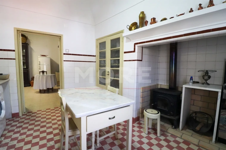 Moradia T0 para Venda em Évora (São Mamede, Sé, São Pedro e Santo Antão) Foto 28