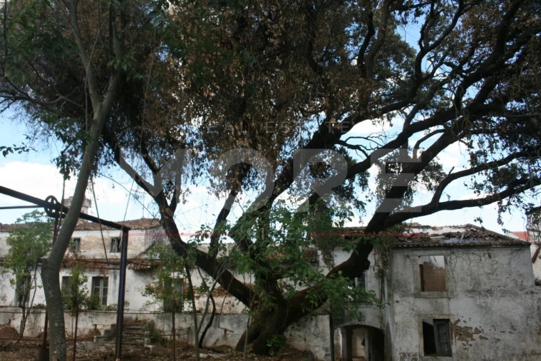 Moradia T0 para Venda em Nossa Senhora da Conceição e São Bartolomeu Foto 16