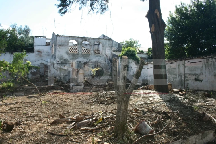 Moradia T0 para Venda em Nossa Senhora da Conceição e São Bartolomeu Foto 15