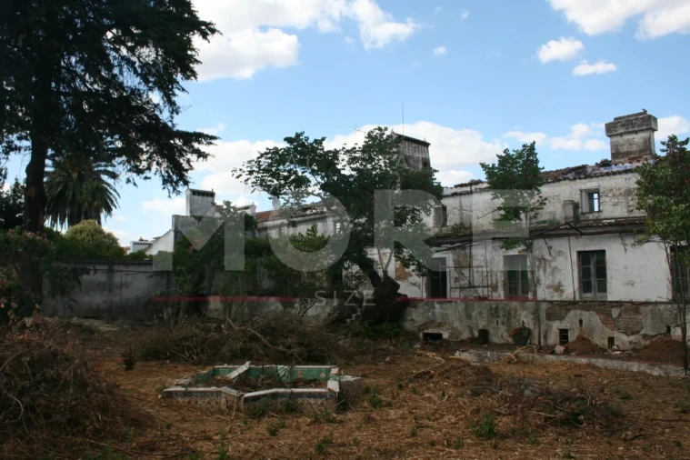Moradia T0 para Venda em Nossa Senhora da Conceição e São Bartolomeu Foto 1