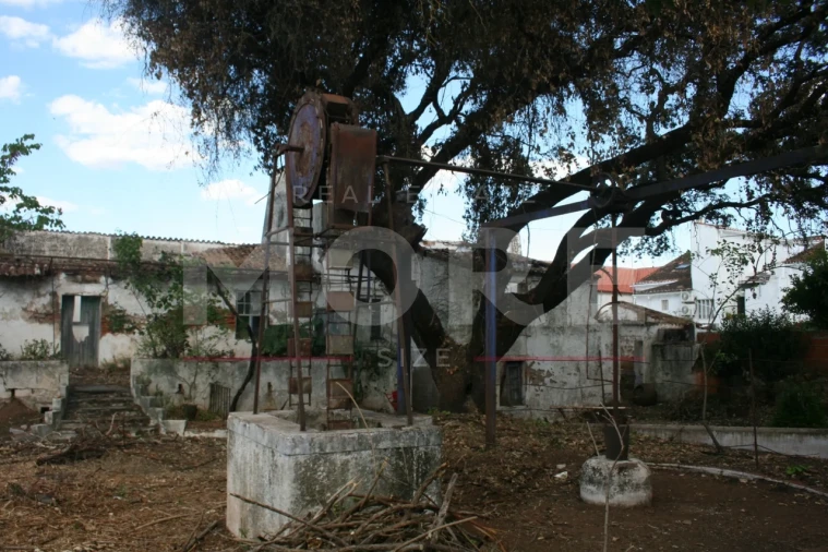 Moradia T0 para Venda em Nossa Senhora da Conceição e São Bartolomeu Foto 22