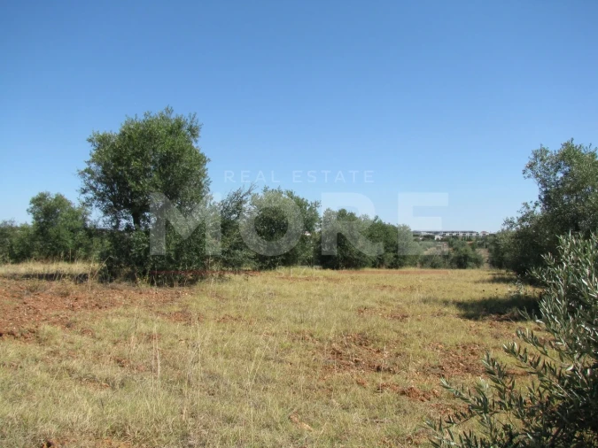 Terreno para Venda em Nossa Senhora de Machede Foto 6