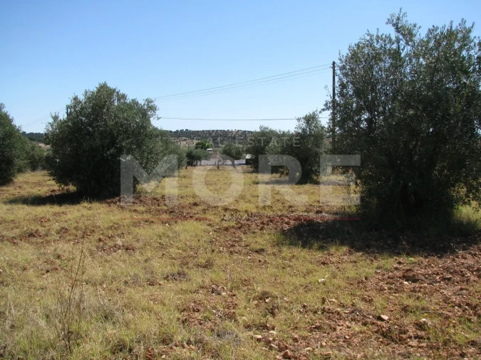 Terreno para Venda em Nossa Senhora de Machede Foto 7