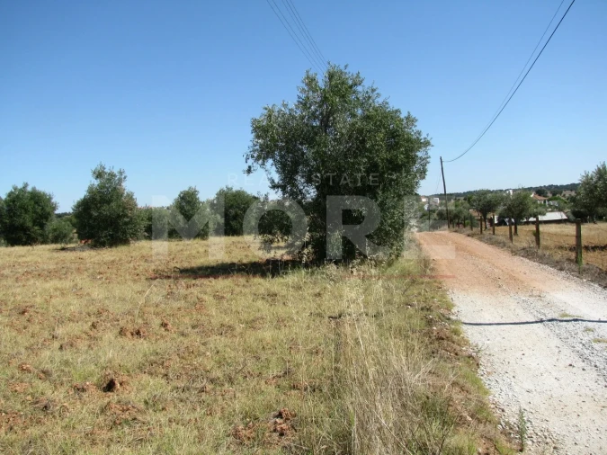 Terreno para Venda em Nossa Senhora de Machede Foto 9