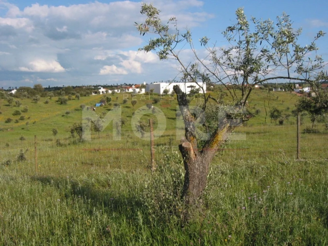 Terreno para Venda em Nossa Senhora de Machede Foto 2