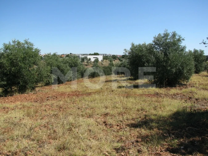 Terreno para Venda em Nossa Senhora de Machede
