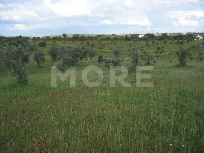 Terreno para Venda em Nossa Senhora de Machede Foto 4