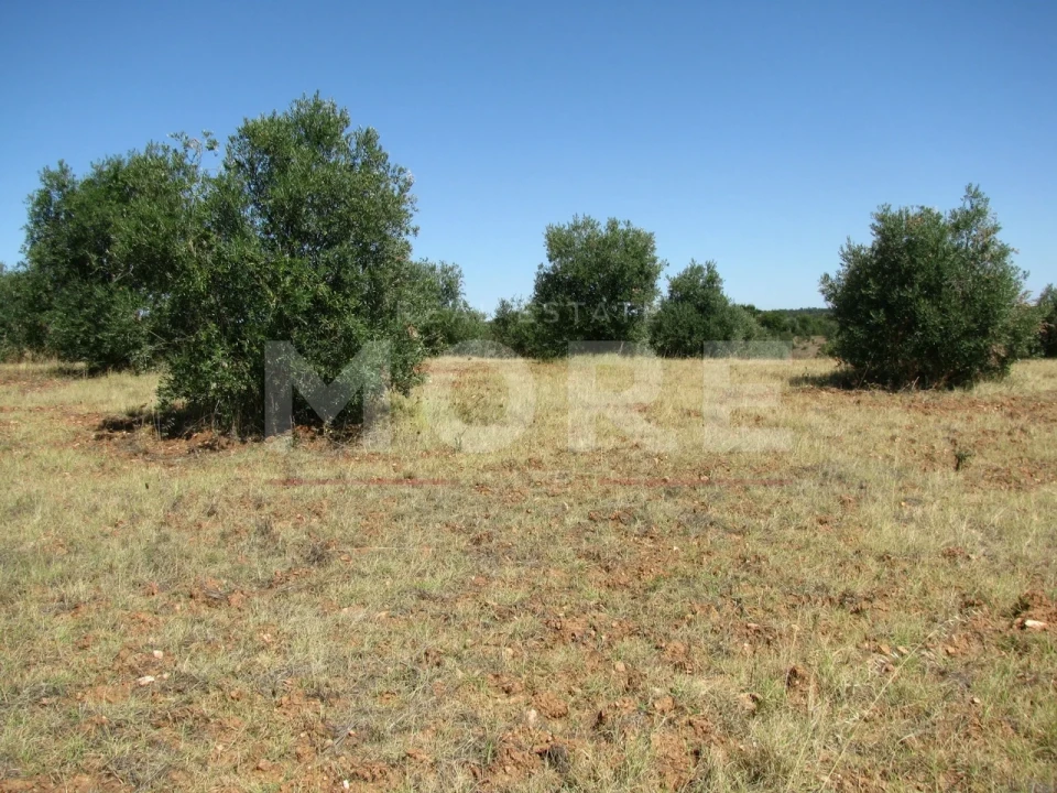 Terreno para Venda em Nossa Senhora de Machede Foto 8