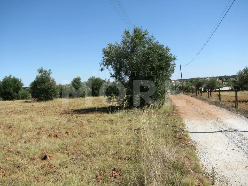 Terreno para Venda em Nossa Senhora de Machede Foto 9