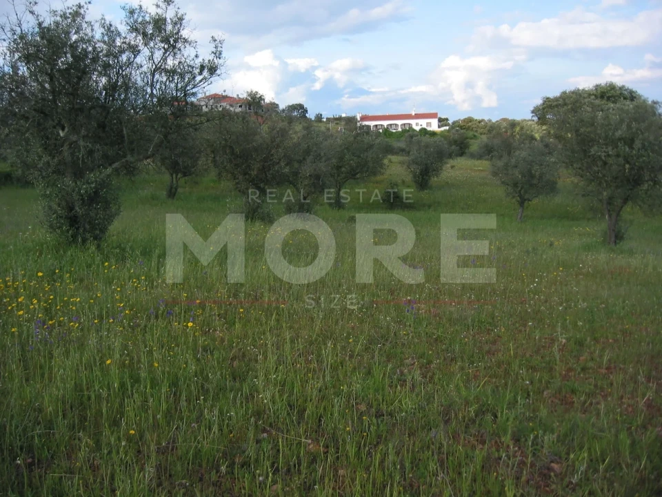 Terreno para Venda em Nossa Senhora de Machede Foto 3