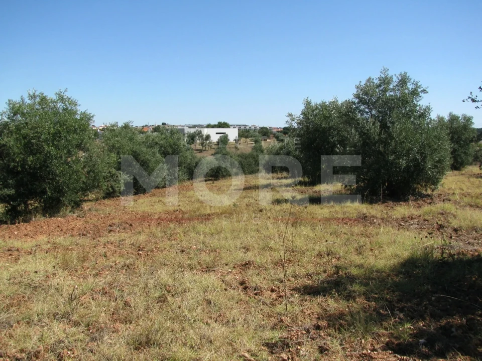 Terreno para Venda em Nossa Senhora de Machede Foto 1