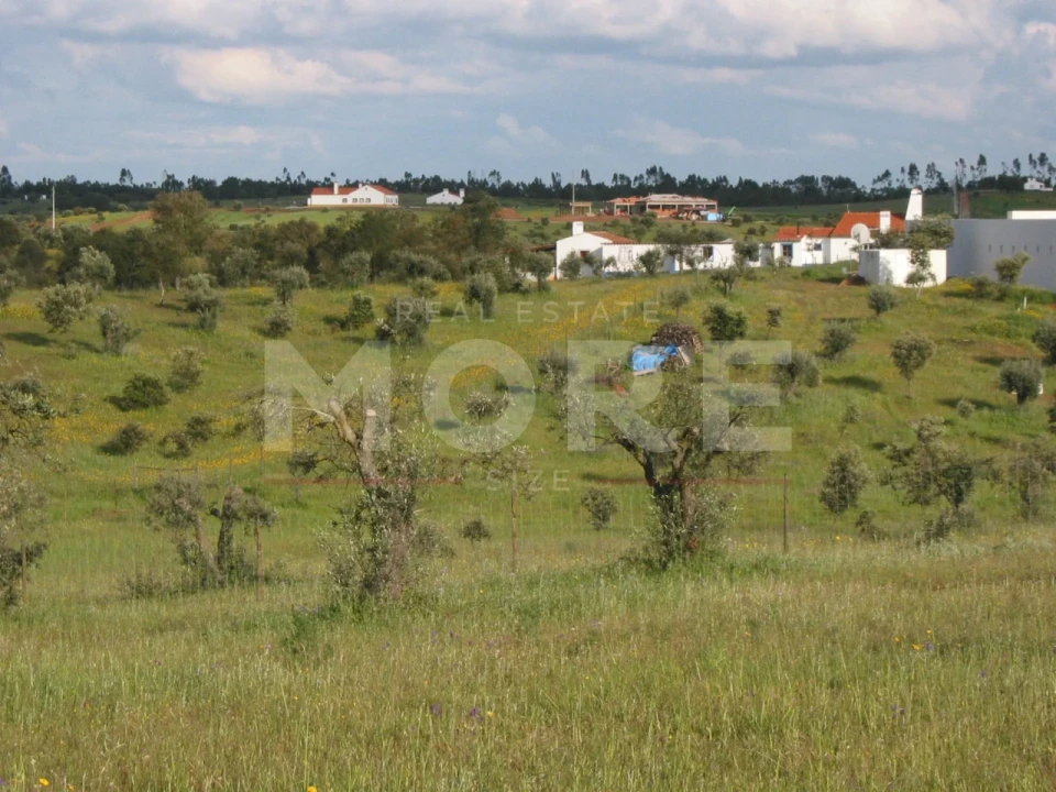 Terreno para Venda em Nossa Senhora de Machede Foto 5