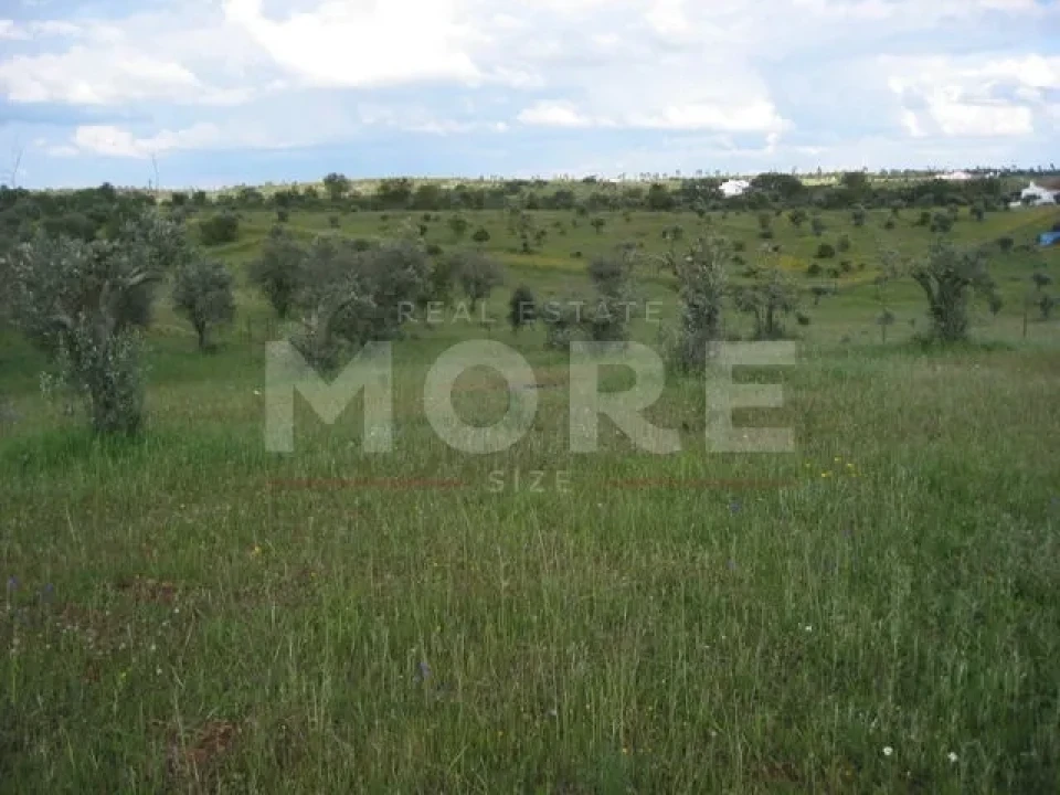 Terreno para Venda em Nossa Senhora de Machede Foto 4
