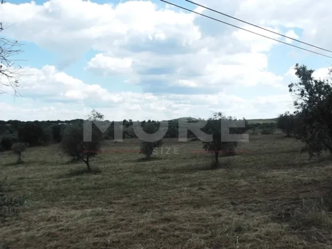 Terreno para Venda em Redondo Foto 2