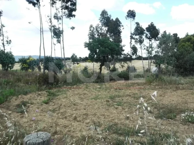 Terreno para Venda em Redondo Foto 6