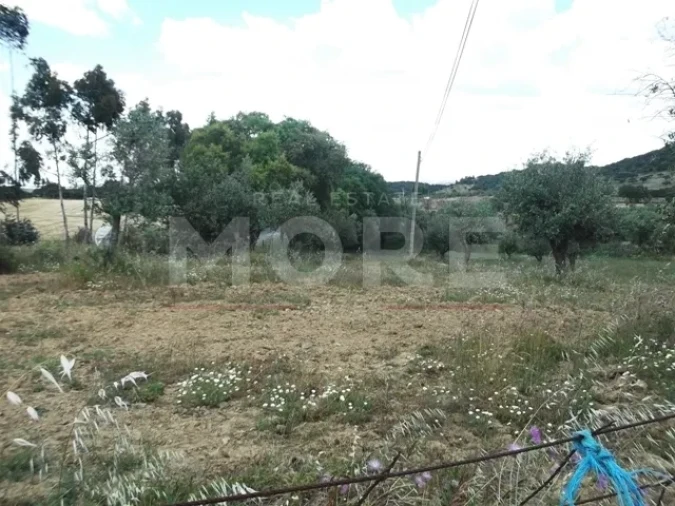 Terreno para Venda em Redondo Foto 5