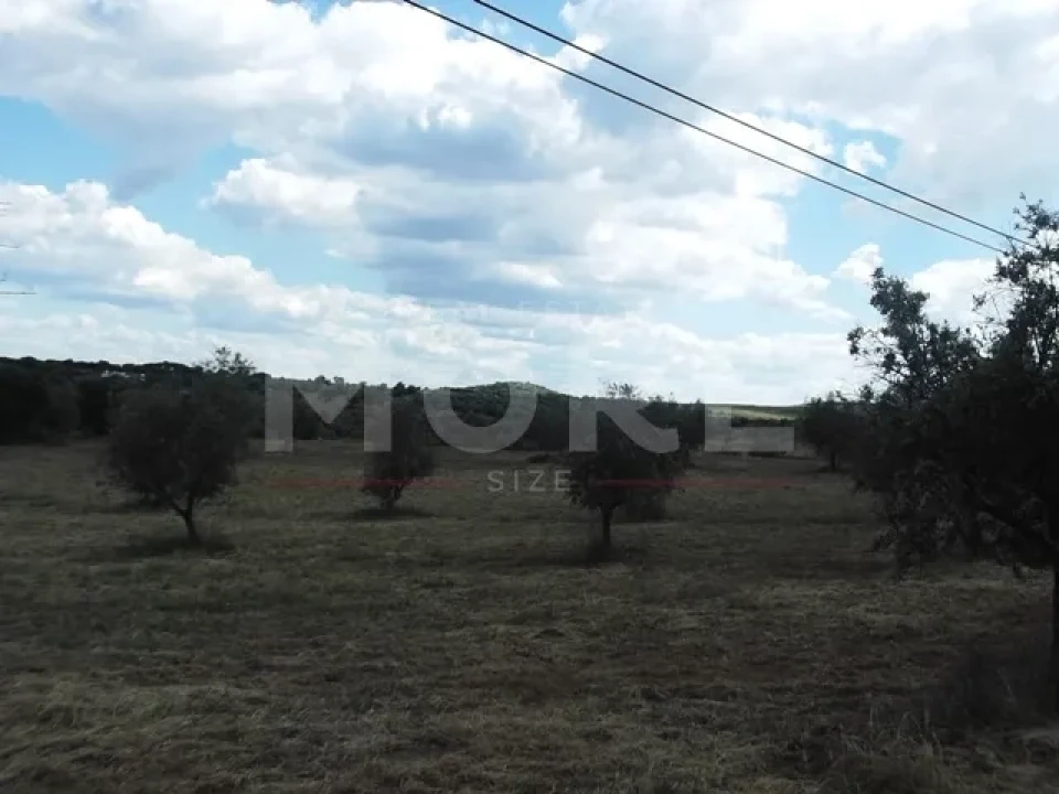 Terreno para Venda em Redondo Foto 3