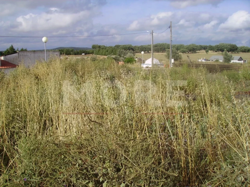 Terreno para Venda em Igrejinha Foto 3