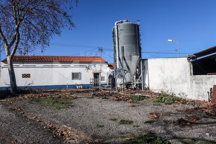 Quinta T0 para Venda em Alpalhão Foto 28