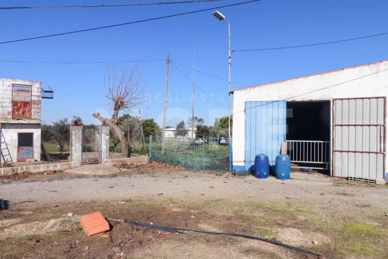 Quinta T0 para Venda em Alpalhão Foto 29