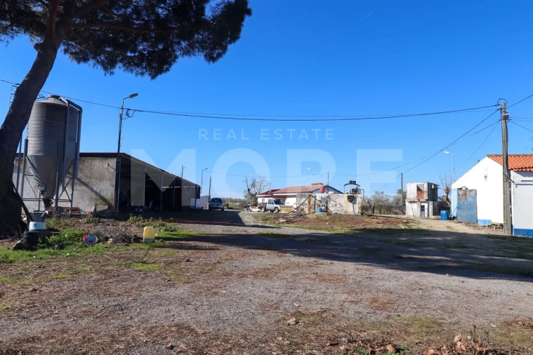 Quinta T0 para Venda em Alpalhão Foto 23