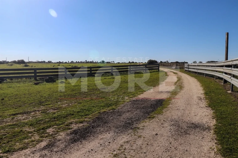 Quinta T0 para Venda em Alpalhão Foto 6
