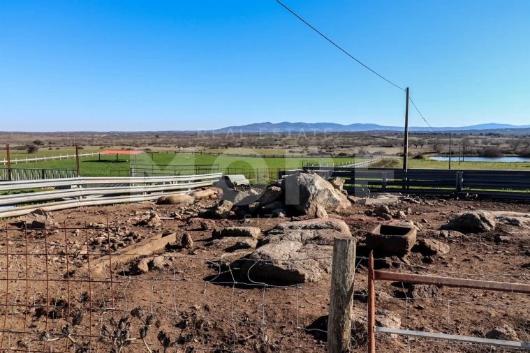 Quinta T0 para Venda em Alpalhão Foto 20