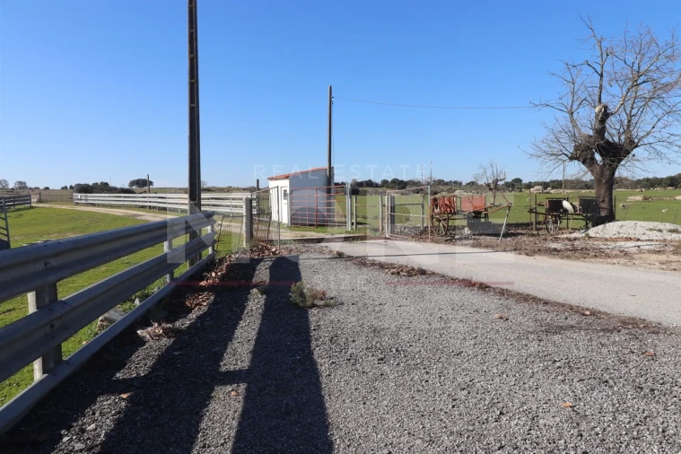 Quinta T0 para Venda em Alpalhão Foto 33