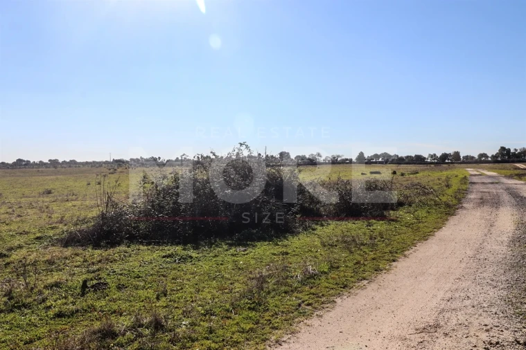 Quinta T0 para Venda em Alpalhão Foto 40