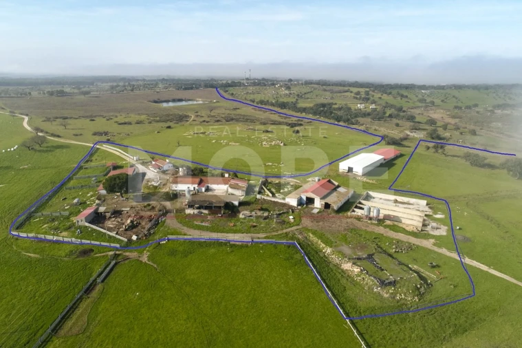 Quinta T0 para Venda em Alpalhão Foto 2