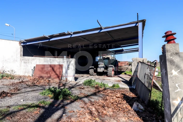 Quinta T0 para Venda em Alpalhão Foto 27