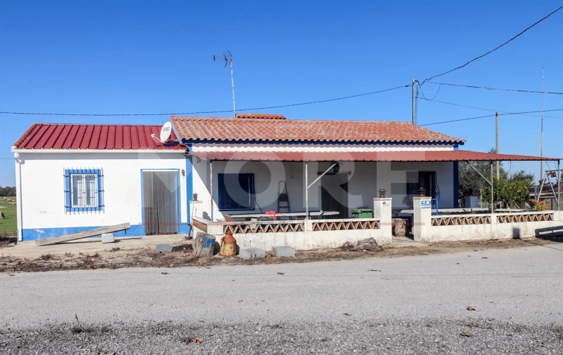 Quinta T0 para Venda em Alpalhão Foto 32