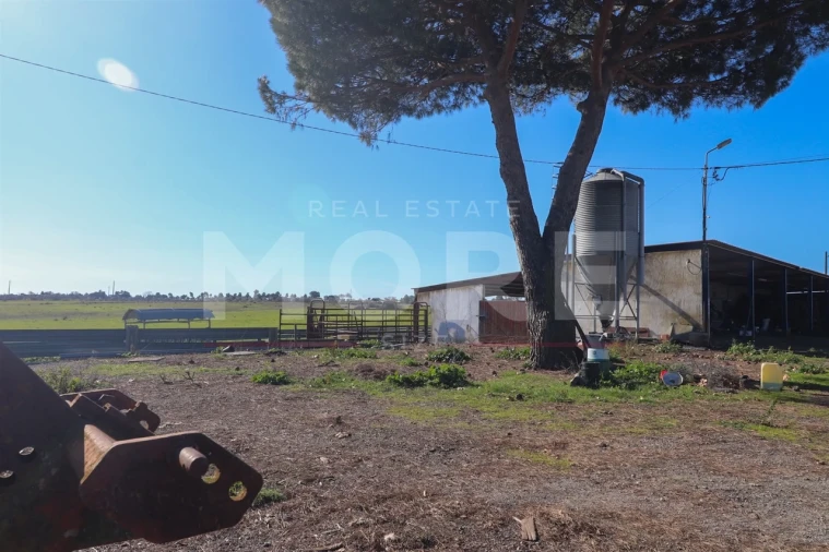 Quinta T0 para Venda em Alpalhão Foto 24