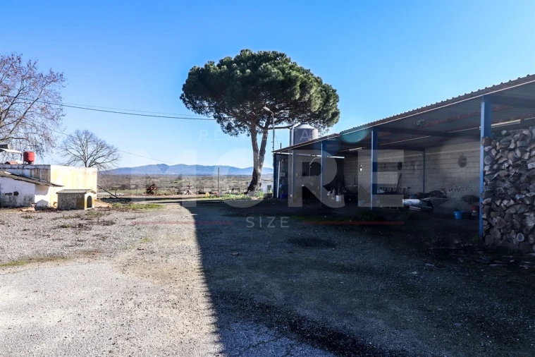 Quinta T0 para Venda em Alpalhão Foto 31