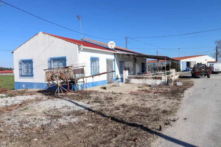 Quinta T0 para Venda em Alpalhão Foto 15