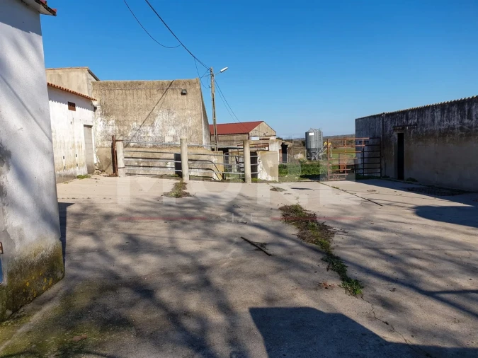 Quinta T0 para Venda em Alpalhão Foto 45