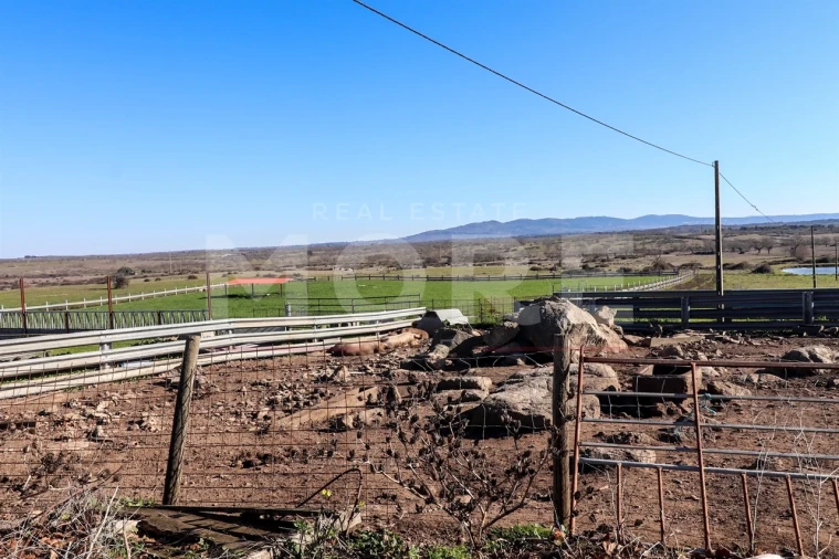 Quinta T0 para Venda em Alpalhão Foto 17