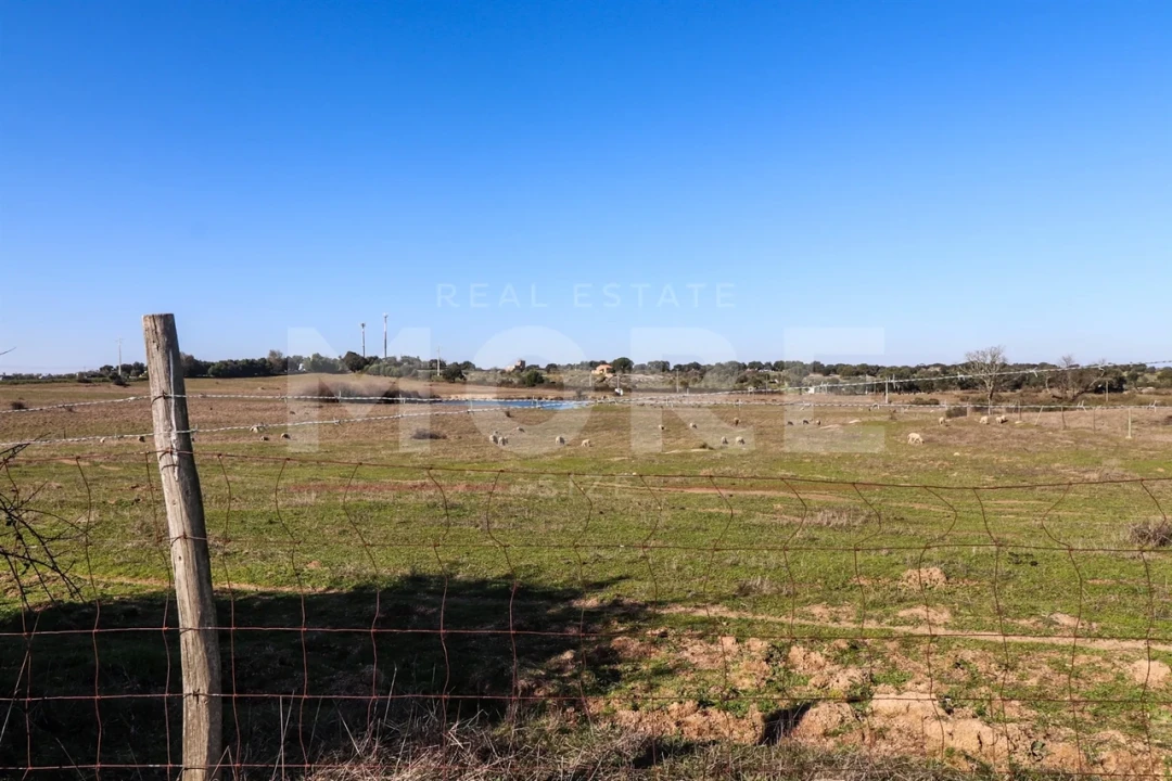 Quinta T0 para Venda em Alpalhão Foto 3