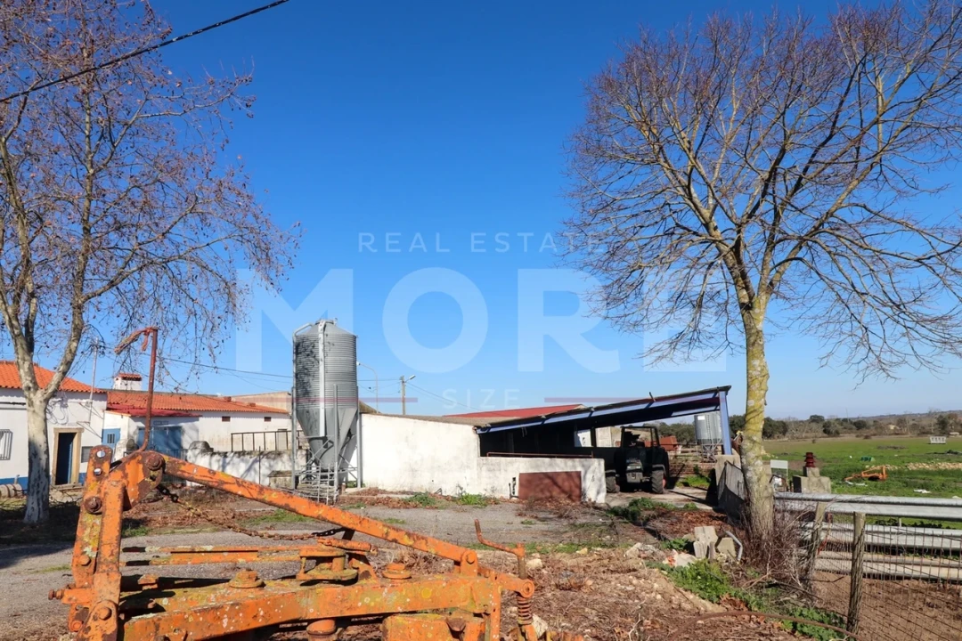 Quinta T0 para Venda em Alpalhão Foto 22