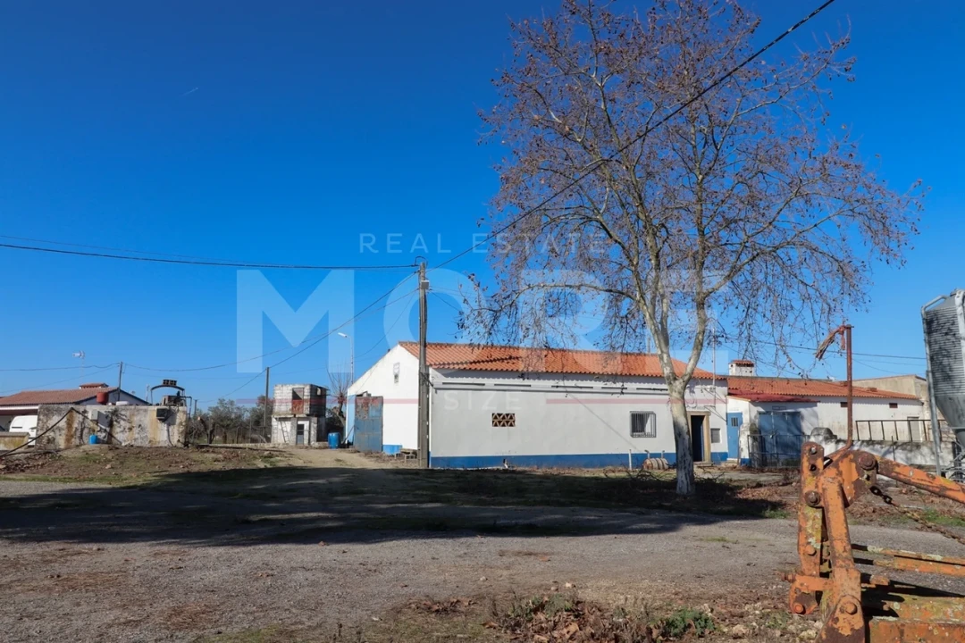 Quinta T0 para Venda em Alpalhão Foto 16