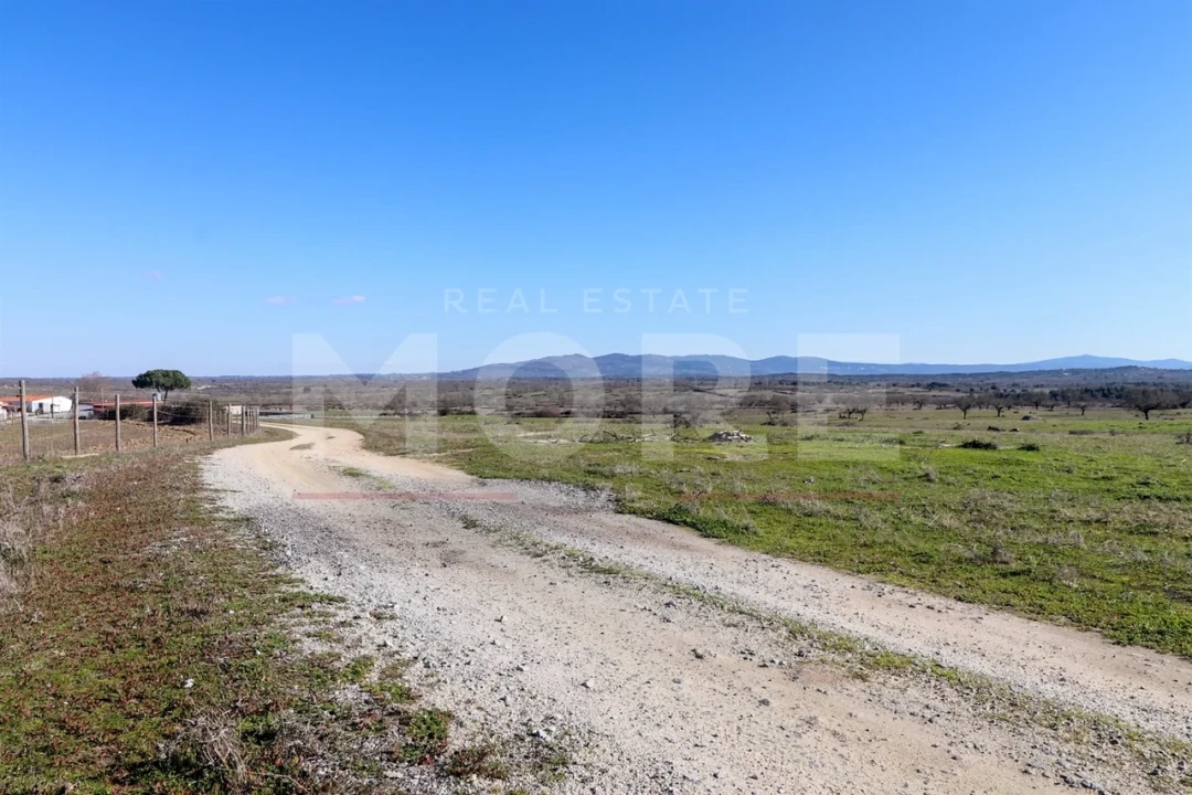 Quinta T0 para Venda em Alpalhão Foto 41