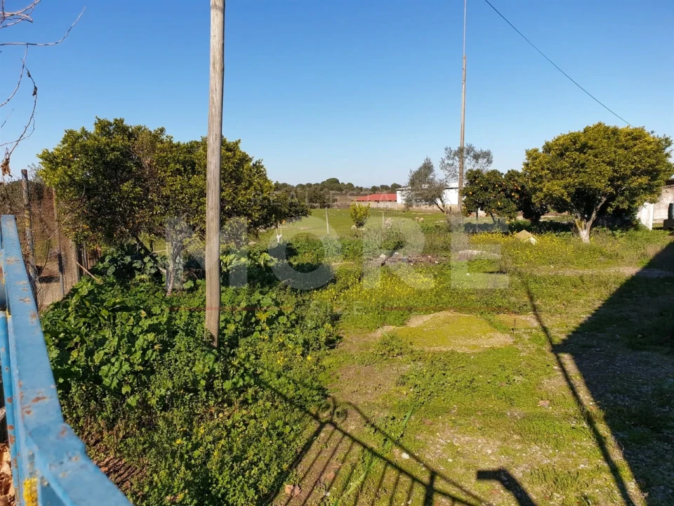 Quinta T0 para Venda em Alpalhão Foto 47